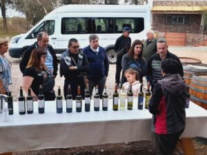 404 II - Ruta del Vino y Dinosaurios