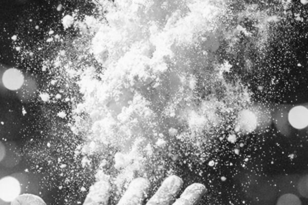 Historia - Chaya 2026 - 1