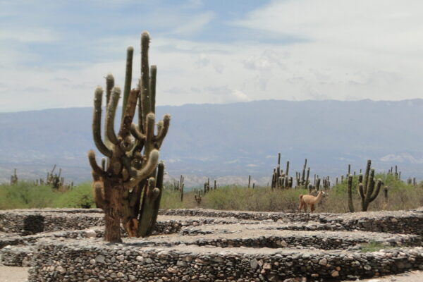 Ruinas de Quilmes
