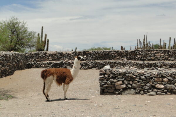 Ruinas de Quilmes