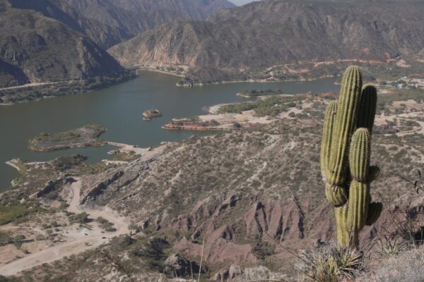 Mirador
