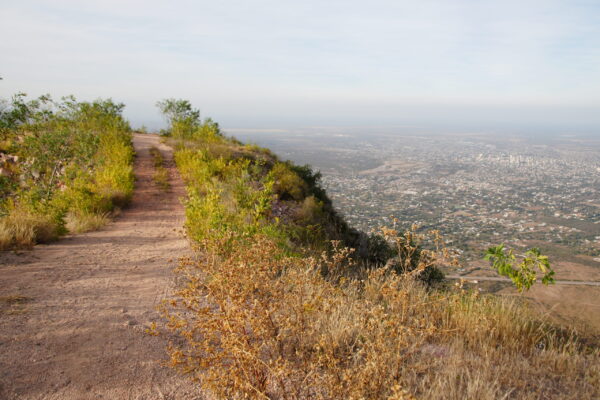 Mirador
