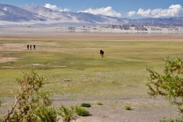 Laguna Blanca