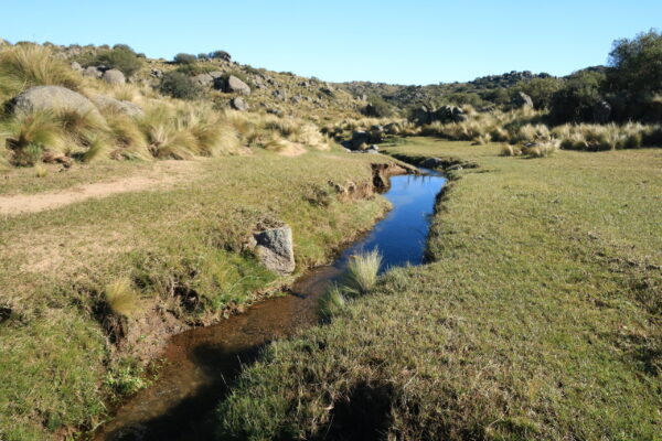 Arroyo