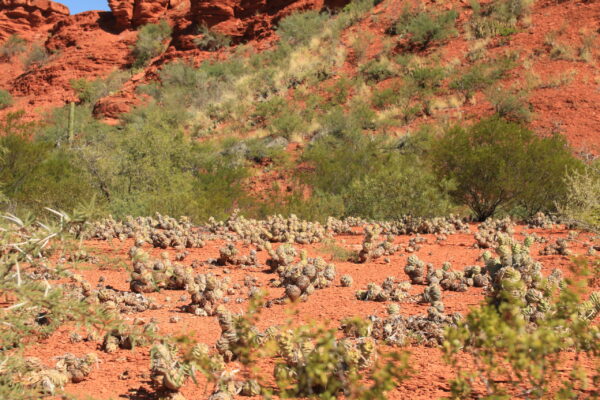 El Paisaje
