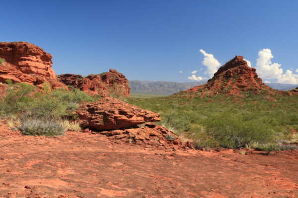 Los Colorados