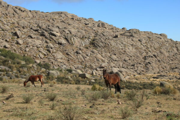 Sendero