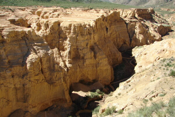 Mejicana