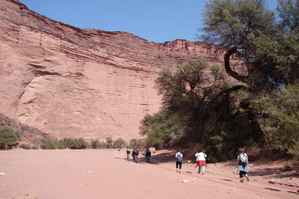 Cañon Talampaya